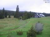 20 : 20