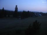 22 : 20