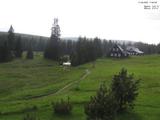 17 : 36