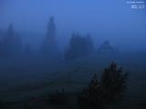 03 : 36