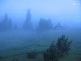 03 : 48