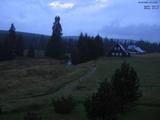 20 : 12