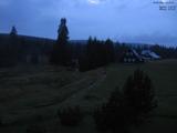 20 : 16