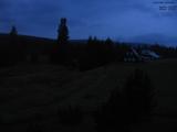 20 : 20