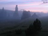 20 : 28
