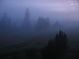 20 : 40
