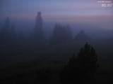 20 : 44