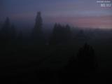 20 : 48