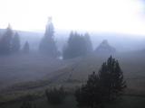 19 : 08