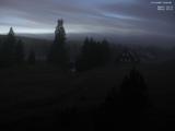 19 : 20
