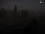 20 : 40
