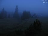 03 : 36