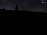 22 : 44