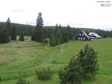 12 : 36