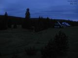 21 : 40