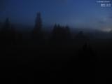 22 : 44