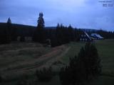 20 : 40