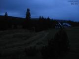 20 : 36
