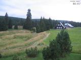 19 : 36