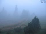 06 : 00