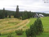 17 : 16