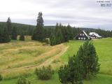 17 : 20