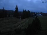 20 : 20