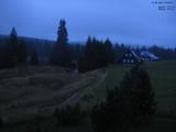 20 : 36