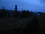 20 : 40