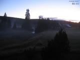 20 : 40