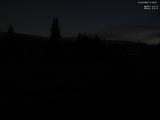 21 : 36