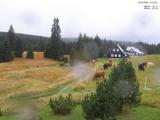 Záznam