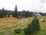 Záznam