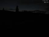 19 : 20