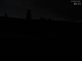 20 : 40
