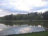 19 : 36