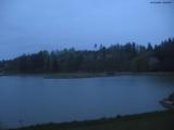 20 : 20