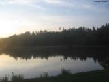 20 : 36