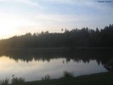 20 : 40