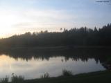 20 : 48