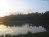 20 : 36