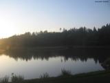 20 : 40