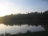 20 : 40
