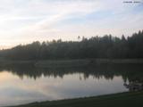 19 : 36