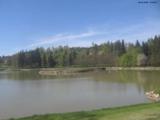 15 : 32