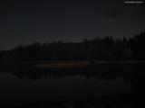 22 : 44