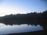 20 : 36