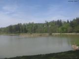 13 : 36