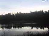 20 : 20