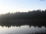 20 : 20